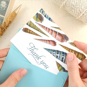 Seashell Thank You Cards Set of 10 with Envelopes Seashell Gift Shell Card image 1