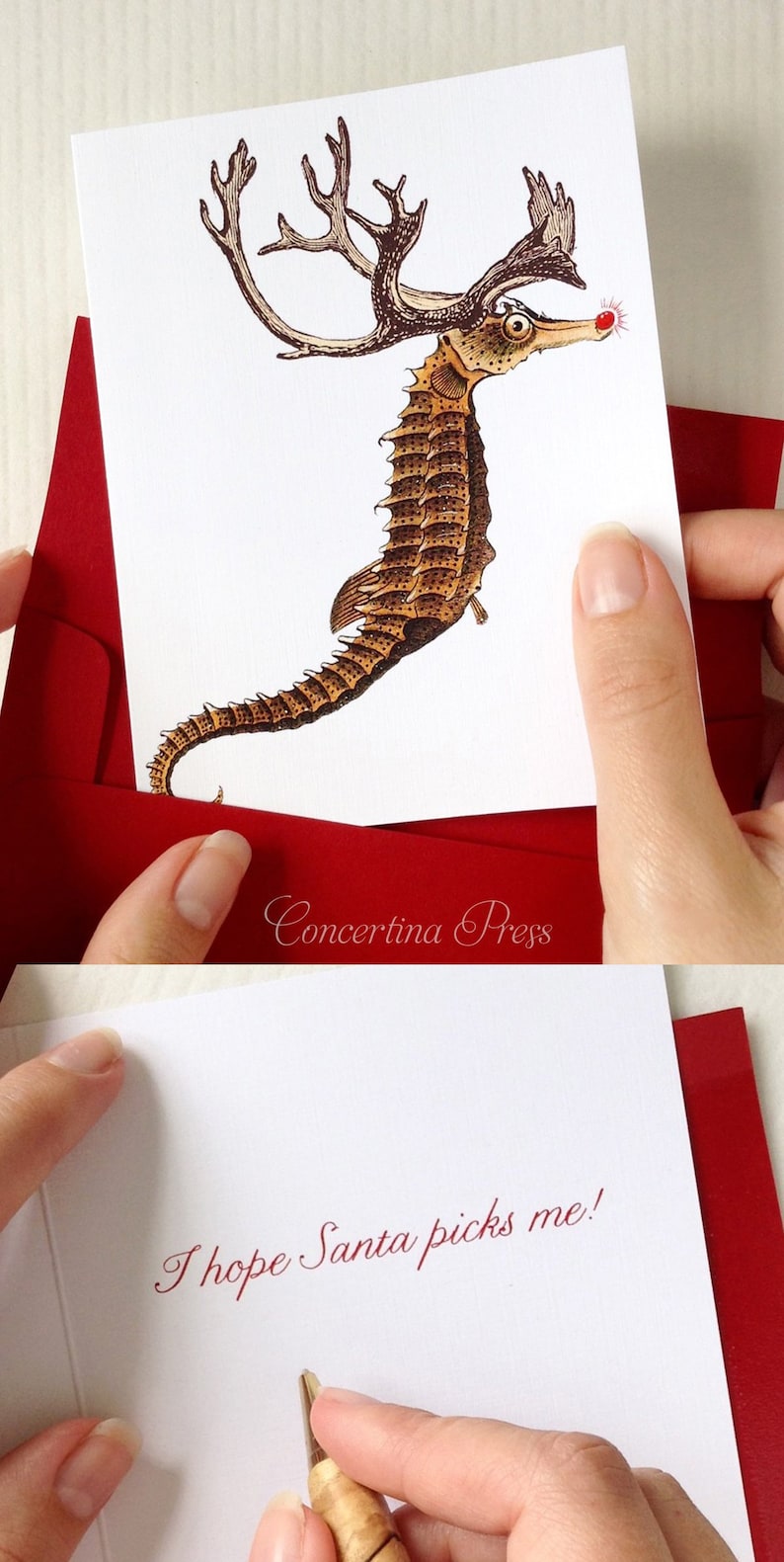 Seahorse Christmas Cards, Nautical Christmas Card, Beach Christmas Cards, Made in USA Set of 10 image 1