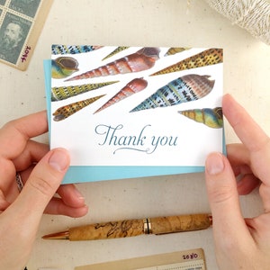 Seashell Thank You Cards Set of 10 with Envelopes Seashell Gift Shell Card image 2