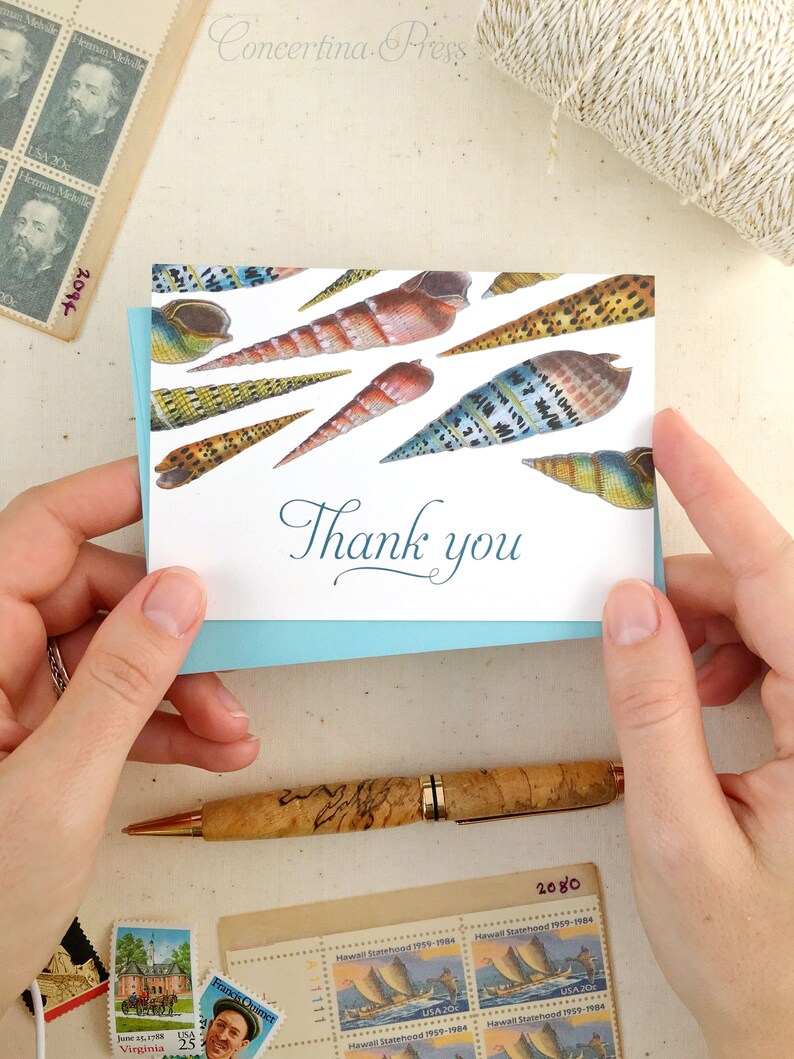 Seashell Thank You Cards Set of 10 with Envelopes Seashell Gift Shell Card image 2