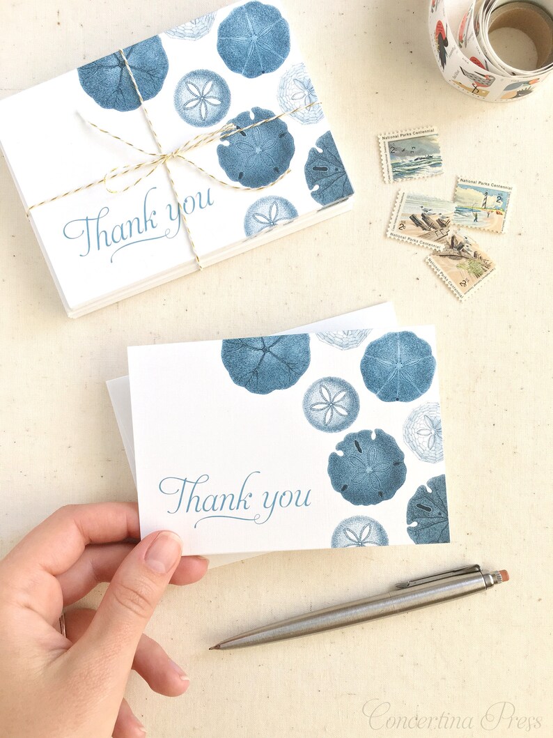 Seashell Thank You Cards Set of 10 with Envelopes Seashell Gift Shell Card image 8