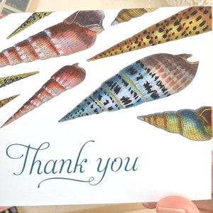 Seashell Thank You Cards Set of 10 with Envelopes Seashell Gift Shell Card image 4