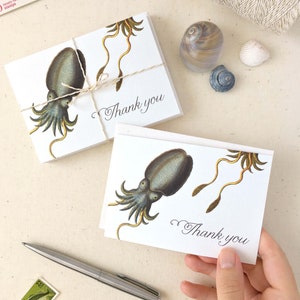 Seahorse Thank You Cards Nautical Thank You Cards Set of 10 thank you notes Made in the USA Recycled Paper matching envelopes image 7