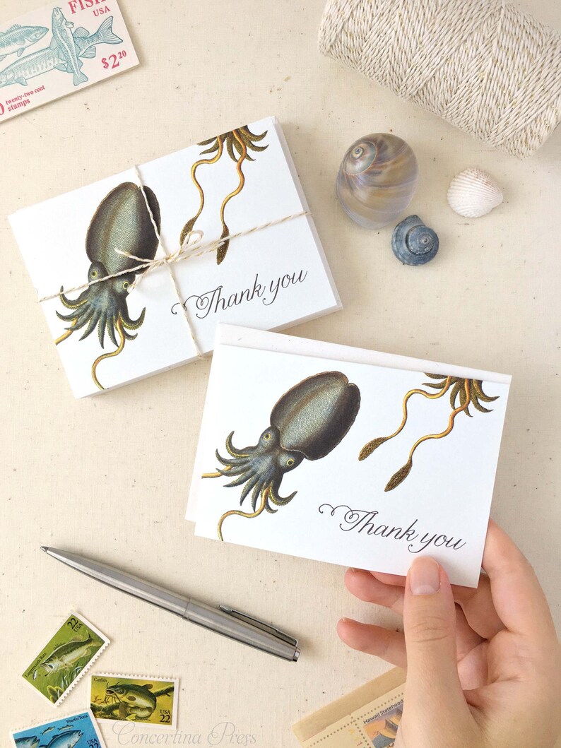 Seahorse Thank You Cards Nautical Thank You Cards Set of 10 thank you notes Made in the USA Recycled Paper matching envelopes image 7