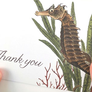 Seahorse Thank You Cards Nautical Thank You Cards Set of 10 thank you notes Made in the USA Recycled Paper matching envelopes image 2