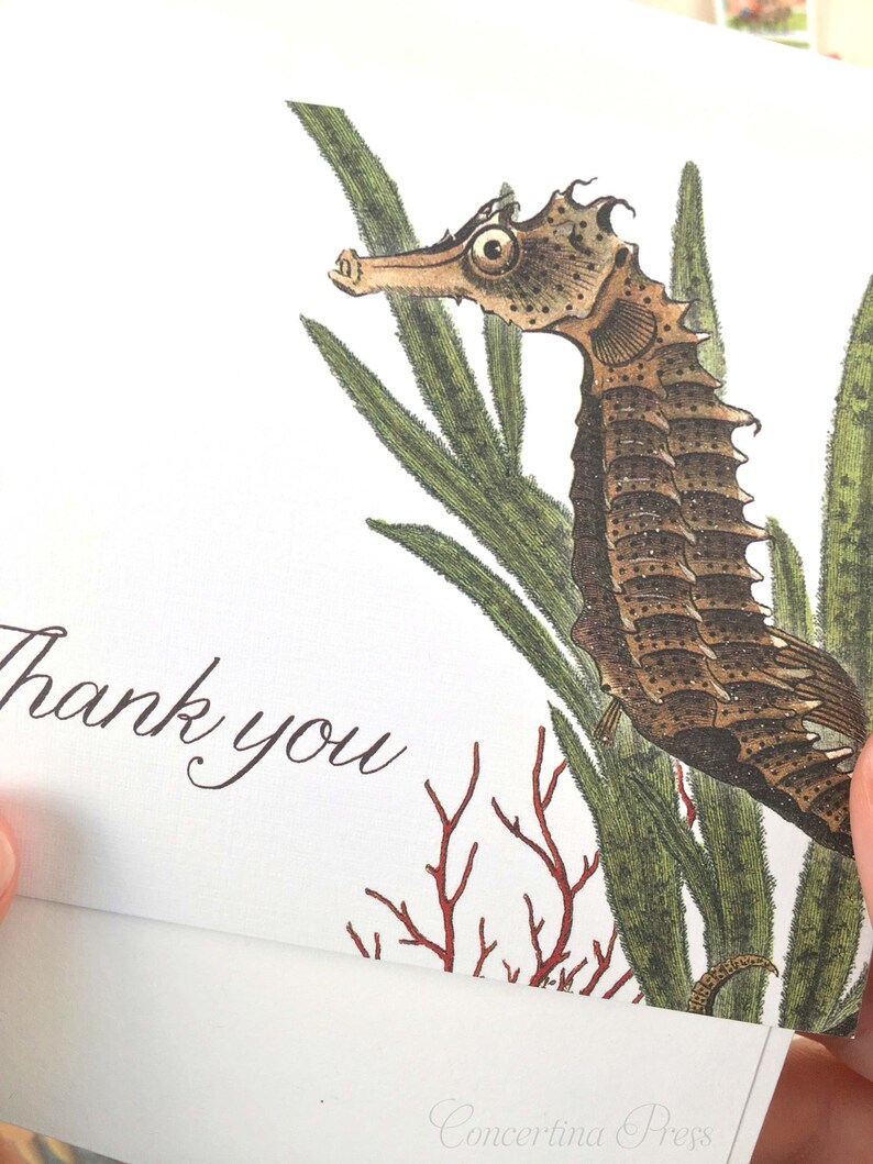 Seahorse Thank You Cards Nautical Thank You Cards Set of 10 thank you notes Made in the USA Recycled Paper matching envelopes image 2