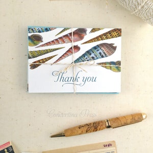 Seashell Thank You Cards Set of 10 with Envelopes Seashell Gift Shell Card image 6