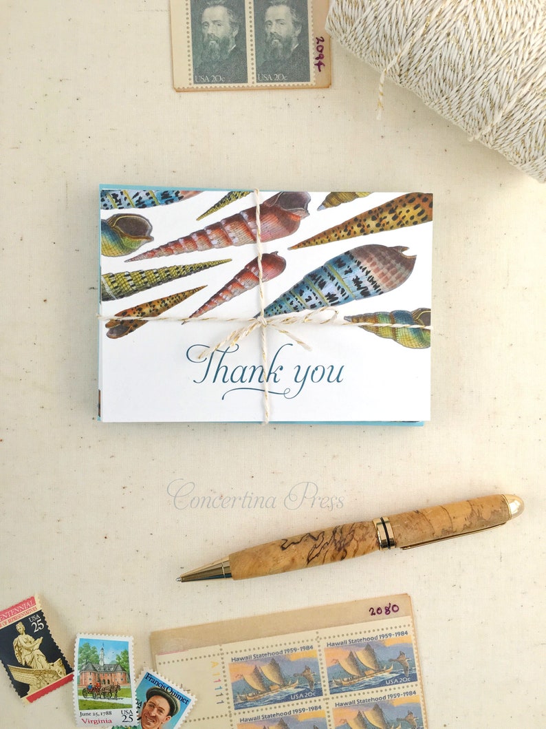 Seashell Thank You Cards Set of 10 with Envelopes Seashell Gift Shell Card image 6