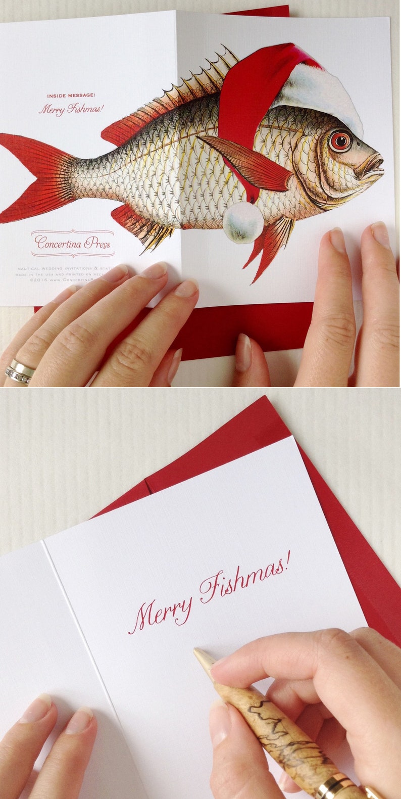Seahorse Christmas Cards, Nautical Christmas Card, Beach Christmas Cards, Made in USA Set of 10 image 7
