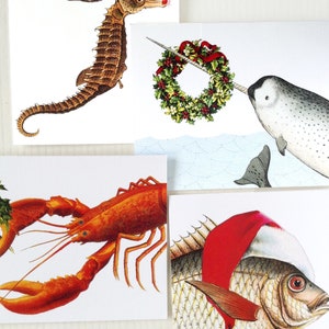 Seahorse Christmas Cards, Nautical Christmas Card, Beach Christmas Cards, Made in USA Set of 10 image 10