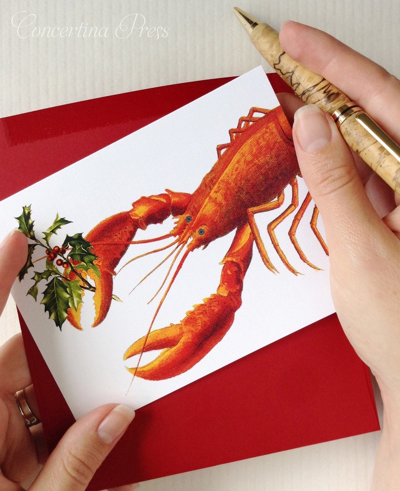 Lobster Christmas Card Set, Coastal Christmas Cards, Funny Christmas Cards, Made in the USA, Set of 10 image 10