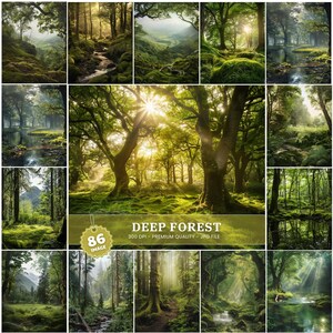 Op de afbeelding: Een digitale collectie van 86 bosafbeeldingen met hoge resolutie, met weelderige groene landschappen, bemoste grond, stromende beekjes en zonovergoten bomen. De centrale afbeelding bevat de tekst DEEP FOREST, 300 DPI, PREMIUM QUALITY, JPG FILE.