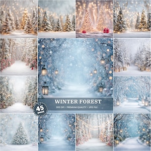 Op de afbeelding: Een collage van winterbosscènes. De afbeeldingen tonen met sneeuw bedekte bomen, paden en zachte verlichting. Sommige scènes bevatten lantaarns en kerstversieringen. De tekst "WINTER FOREST" is zichtbaar, samen met "45 IMAGE" en andere details.