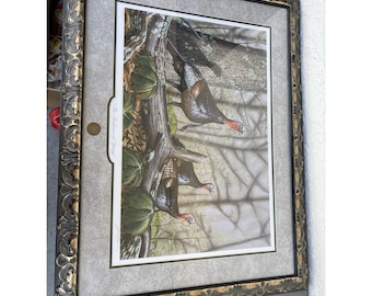 The Shadows Of Spring Jack Hagerman National Wild Turkey Federation Framed litho