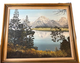 framed art acrylic painting D. Marchant mountain scene.  untitled See pics