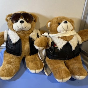 Könnte beinhalten: Zwei braune Teddybären mit schwarzen Fliegerjacken mit weißem Kunstfellbesatz. Einer der Bären trägt eine Sonnenbrille, der andere einen Schal. Beide haben cremefarbene Schnauzen.