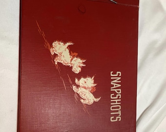 Vintage snapshot book with vintage 37 personal pictures see