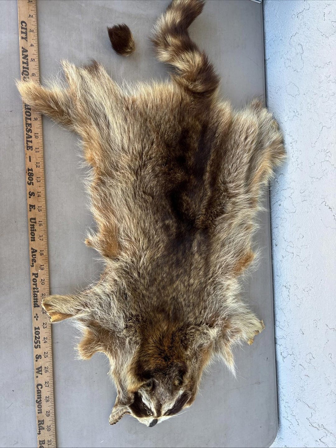 Genuine Raccoon Pelt Skin Fur Hide Tanned Leather DIY Craft Material ...