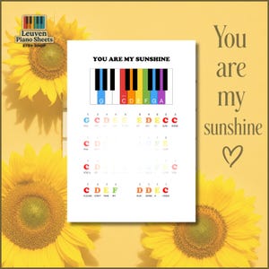 May include: A white sheet of music titled YOU ARE MY SUNSHINE featuring a colourful piano keyboard diagram with labelled notes and corresponding finger numbers. The lyrics are printed below the notes in matching colours to guide piano playing.