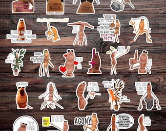 25PCS Marcus the Worm Meme Sticker Set, Meme Worm Vinyl Decals For Kindle, Skateboard, Bottle, Laptop
