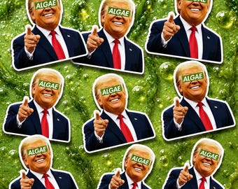 100Pcs Team Algae Sticker, I Did That Sticker, Meme Anti Trump Sticker