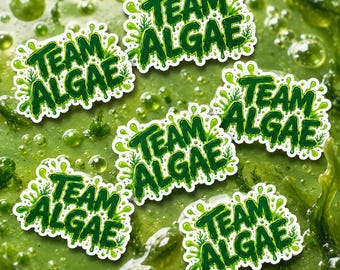 Funny Algae Protest Decal, Team Algae Sticker, Anti Trump Political Humor Magnet, Green Parody Vinyl Sticker