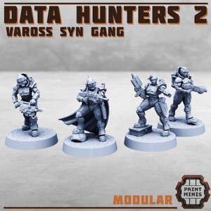 May include: Four grey miniature figures of futuristic soldiers, each holding a weapon. The figures are on circular bases. The text "DATA HUNTERS 2" and "VAROSS SYN GANG" are at the top. The word "MODULAR" is at the bottom.