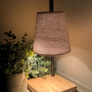 May include: A small table lamp with a brown linen shade and a dark metal frame. The lamp sits on a square wooden base. A potted plant with green leaves is to the left of the lamp.