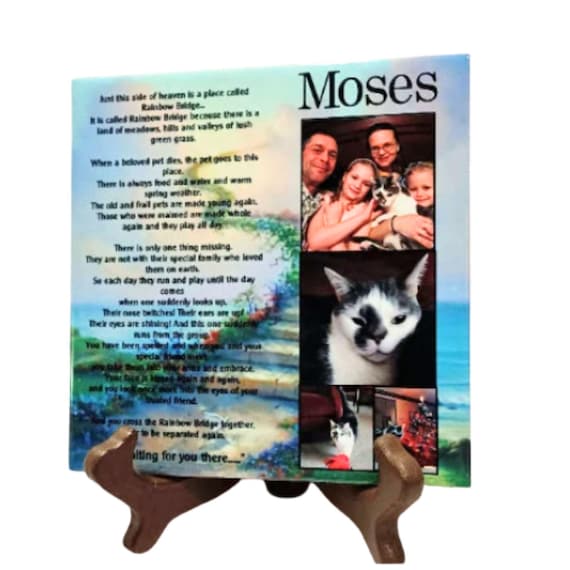 Pet Memorial Plaque, Dog Memorial, Cat Memorial, Pet Sympathy, Family Gift