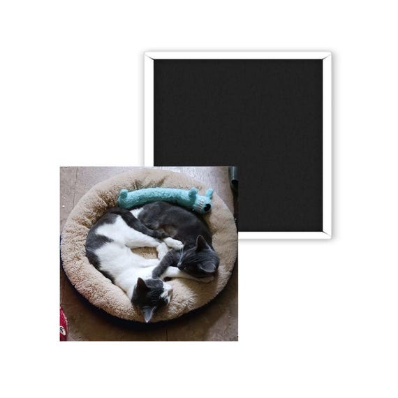 Photo Magnet, Custom Photo Magnet, Birthday, Grandma Gift
