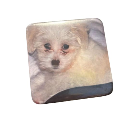 Photo Magnets, Personalized Magnets, Fridge Magnets, Birthday, Grandma Gift