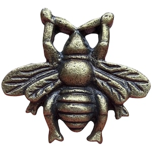 Könnte beinhalten: Ein bronzefarbenes, bienenförmiges Dekorationselement. Die Biene hat detaillierte Flügel, einen segmentierten Körper und ausgestreckte Fühler. Das Metall hat eine strukturierte Oberfläche und ist wahrscheinlich aus Gussmetall gefertigt.