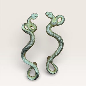 Può includere: Due maniglie decorative per porte a forma di serpente. Le maniglie sono di colore verde metallizzato con un motivo strutturato a forma di scaglie. Le teste dei serpenti sono in alto e i corpi si incurvano verso il basso per formare la maniglia.