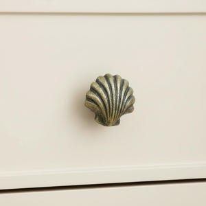 Può includere: Pomello per armadio a forma di conchiglia, con finitura in ottone anticato. Il pomello è montato su un'anta di armadio color crema. Il pomello ha una superficie strutturata con linee verticali.