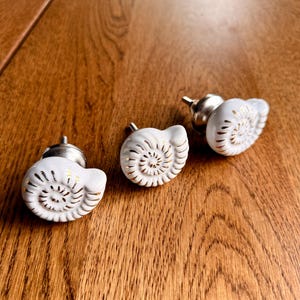 Vintage Trio Nautilus Shell Cabinet Knob White Coastal Hardware
