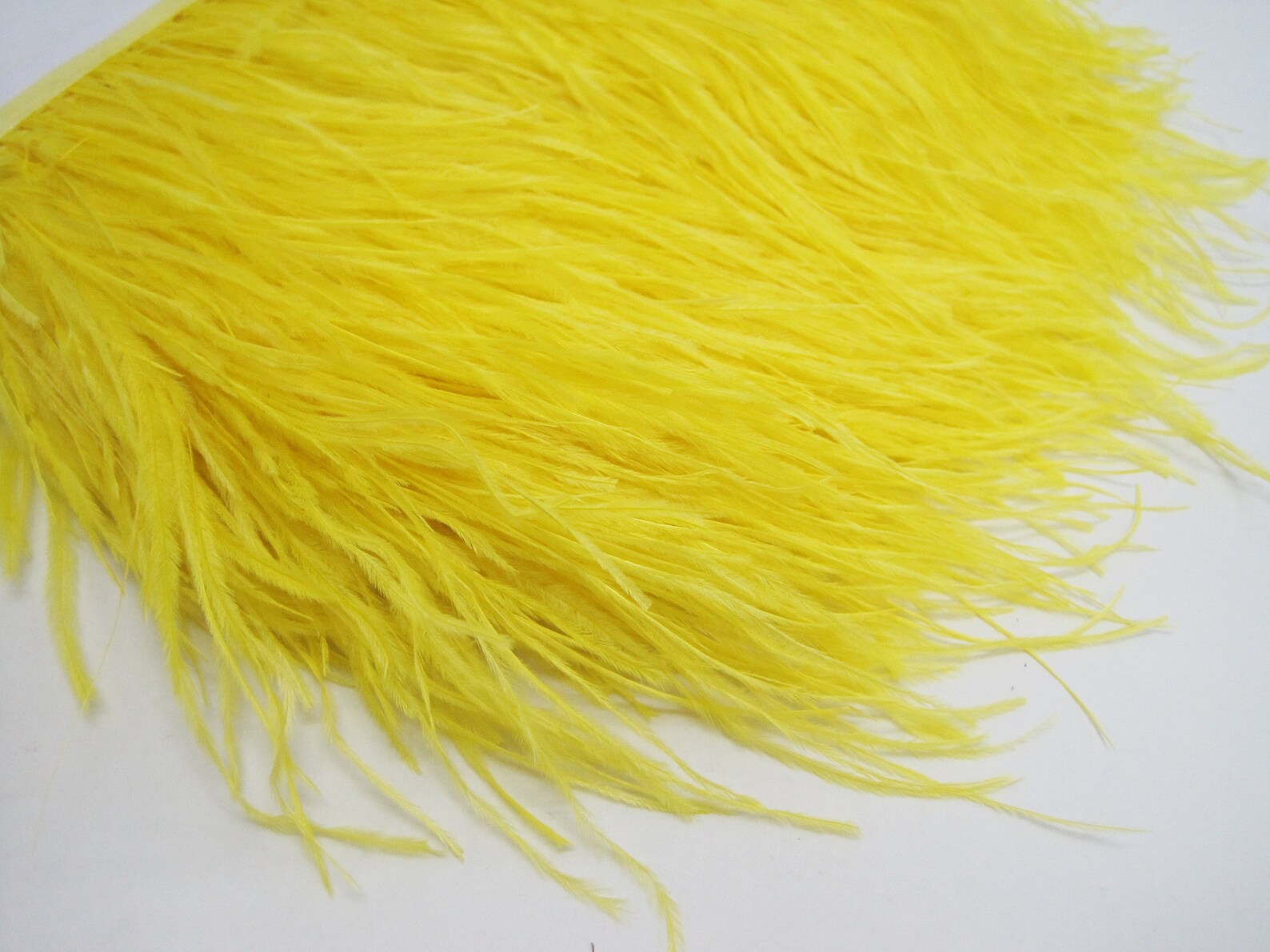 1 Yard Ostrich Trim Yellow Fringe Ostrich Feather Ostrich Etsy