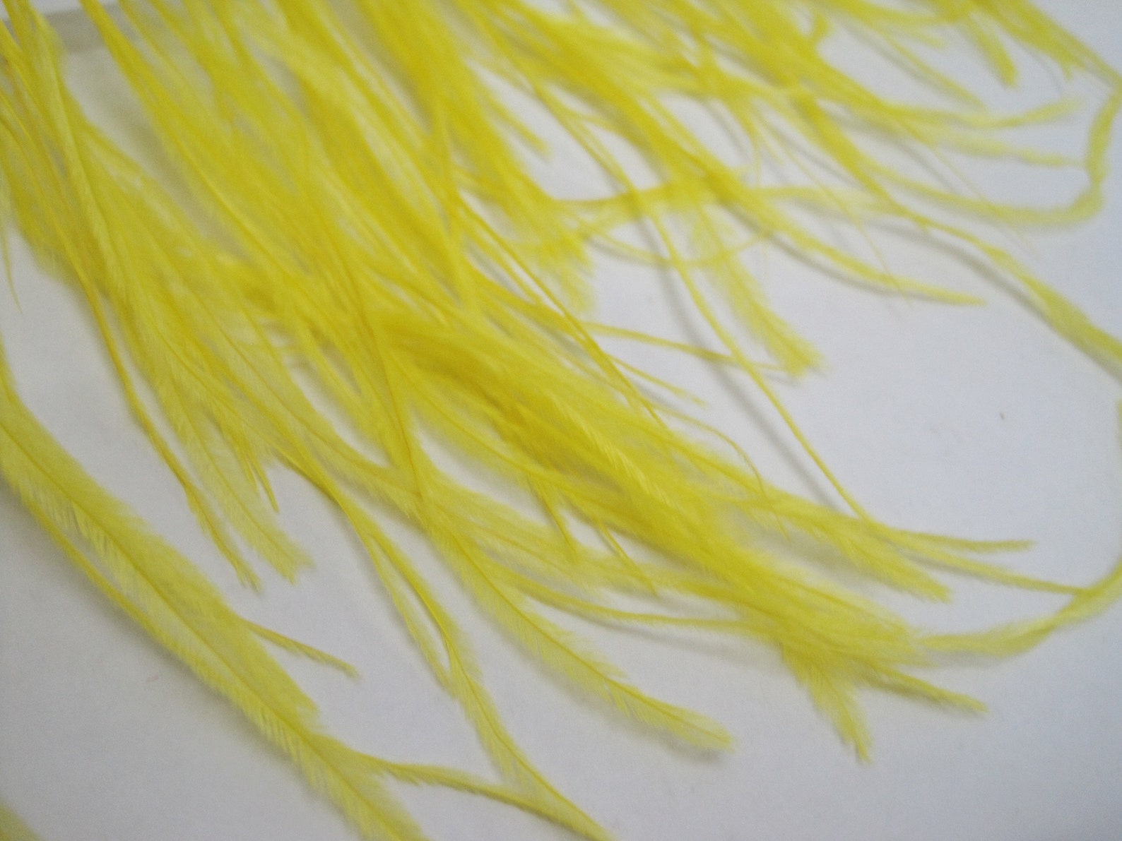 1 Yard Ostrich Trim Yellow Fringe Ostrich Feather Ostrich Etsy