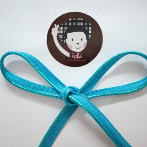 May include: A turquoise blue elastic cord with a shimmery finish tied in a bow. The cord is approximately 1/2 inch wide.