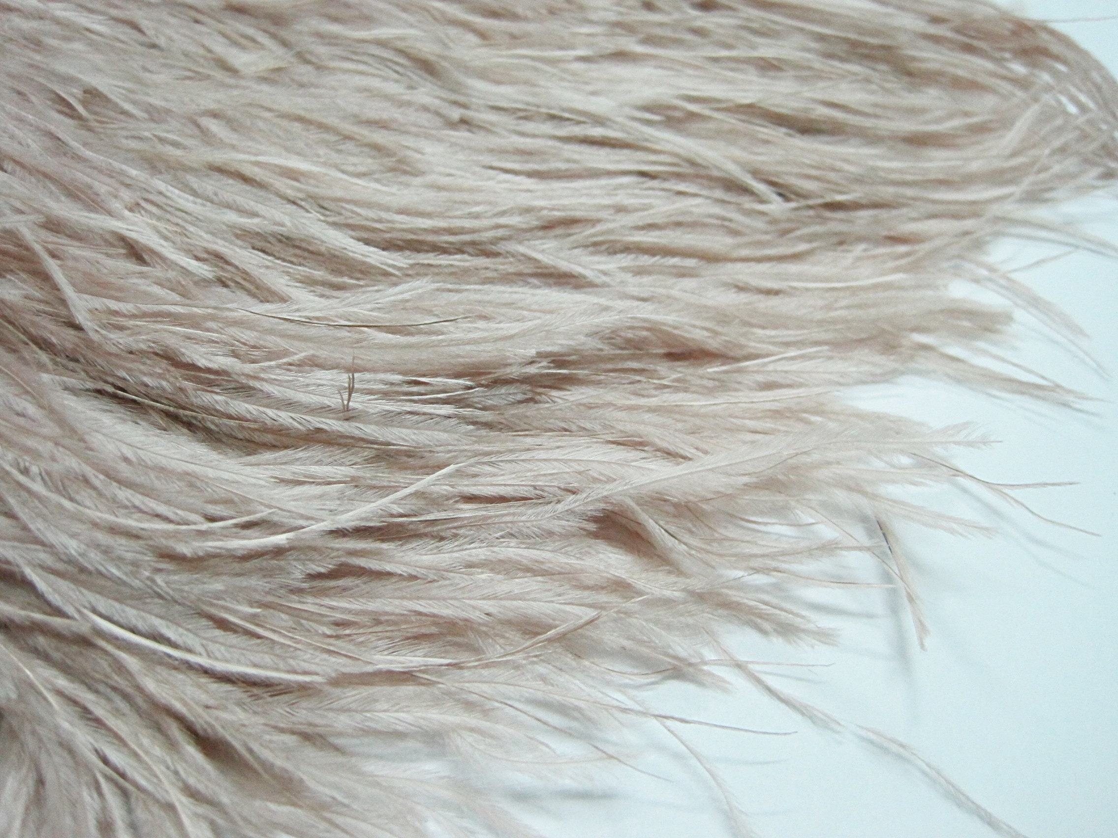 1 Yard Ostrich trim Beige Fringe Ostrich feather Ostrich Etsy