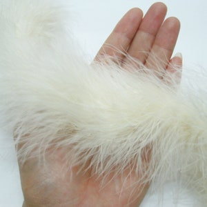 May include: A white feather boa, soft and fluffy, is held in a hand. The boa is about 10 inches wide and appears to be very long.