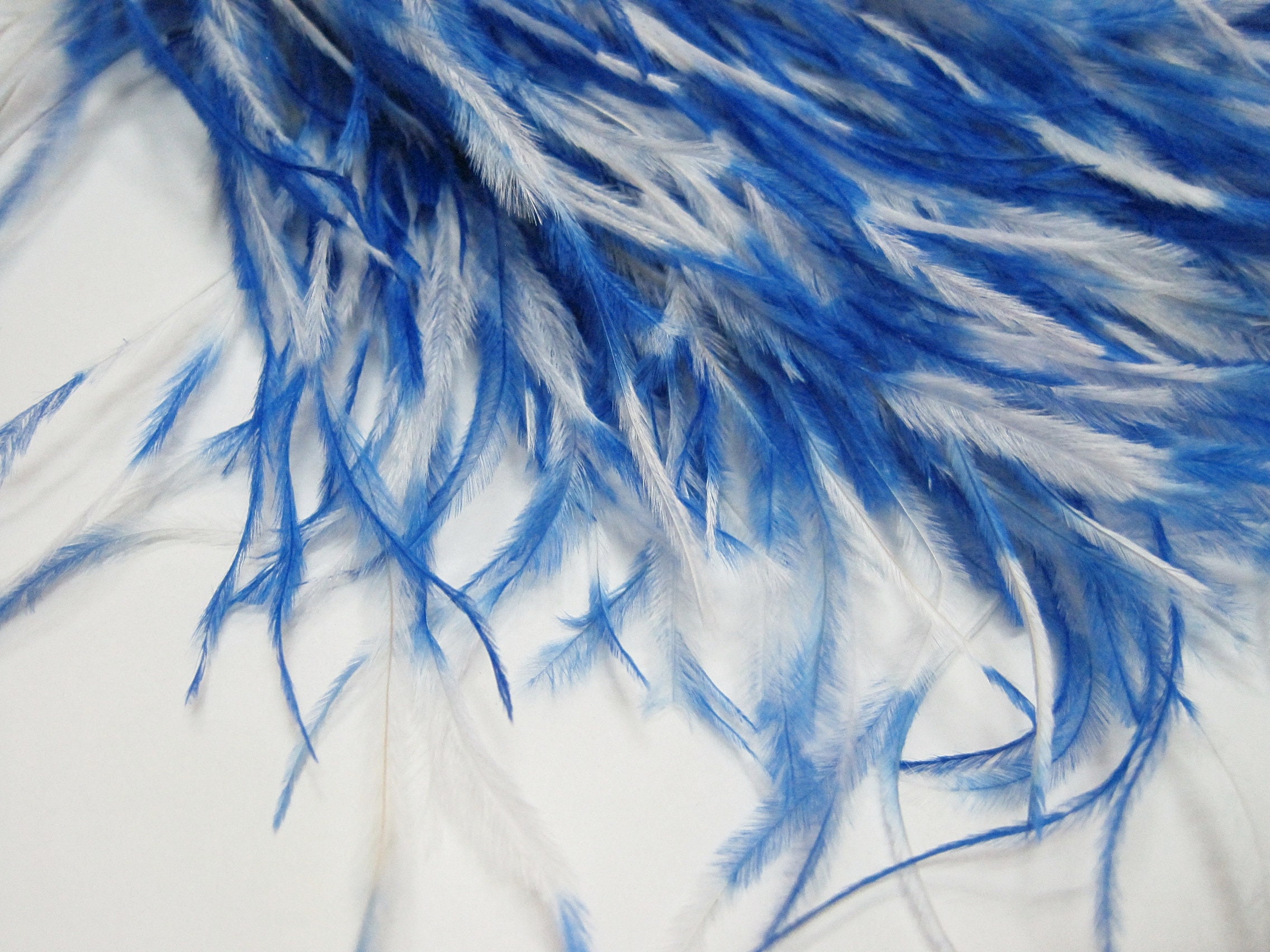 1 Yard Ostrich trim WhiteRoyal Blue Fringe Ostrich feather Etsy