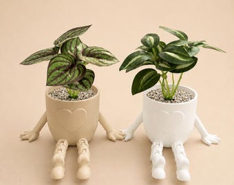 Maceta con forma de corazón – Maceta impresa en 3D con patas móviles | Decoración para el salón | Regalo para amantes de las plantas
