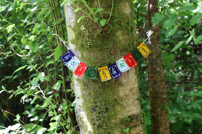 K&ouml;nnte beinhalten: Eine Schnur mit kleinen, rechteckigen Gebetsfahnen in leuchtenden Farben wie Blau, Gr&uuml;n, Rot, Gelb und Wei&szlig;. Jede Fahne ist mit tibetischer Schrift und Symbolen bedruckt und horizontal an einem strukturierten, moosbewachsenen Baumstamm befestigt.