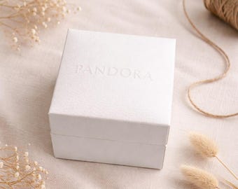 Pandora Florida Exclusive Panama City Beach Sun Charm/travel
