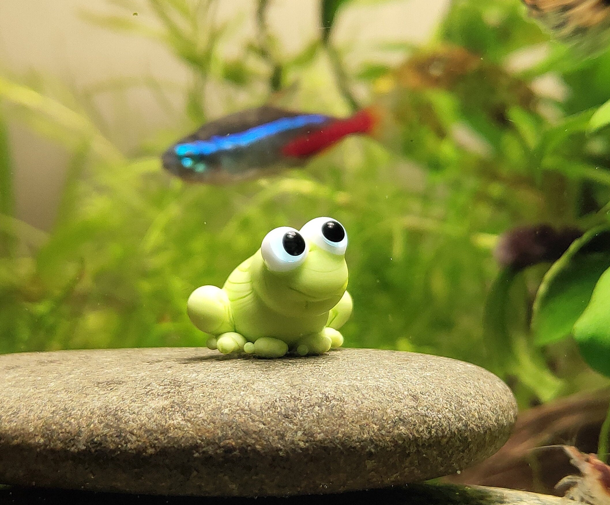 small aquarium decorations