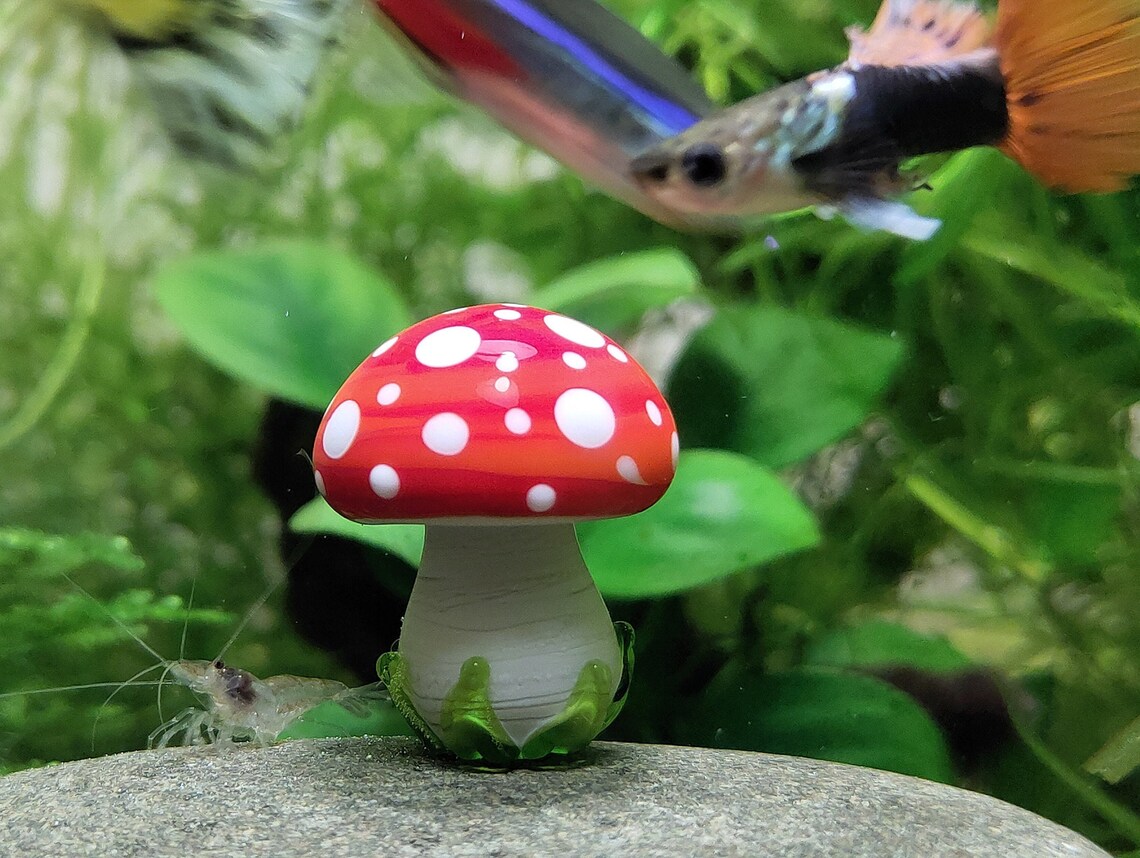AQUARIUM DECORATION Mushroom figurine Small Aquarium decor Etsy