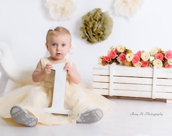 First Birthday Photo Prop Number, One Sign for Cake Smash, Kids Birthday Photo Signs, Baby Birthday Photo Decor, Milestone Celebration Sign