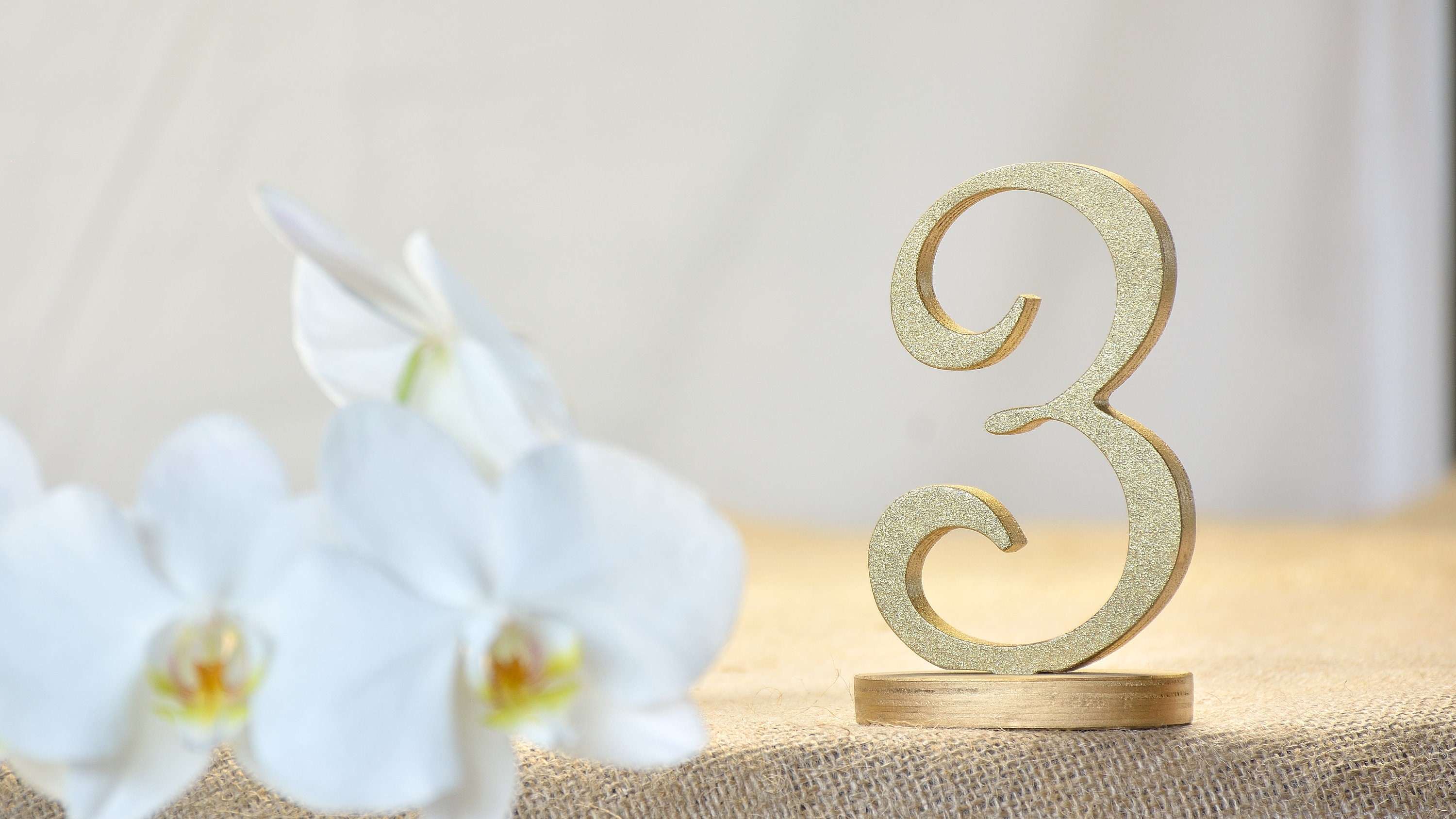5 inches 1-20 Number Unpainted pure white table numbers set wedding table reception find your seat table numbers unpainted table numbers painted table numbers DIY numbers