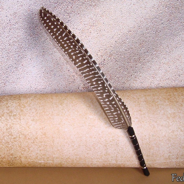 Feather Quill Pen - Etsy
