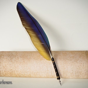 Puede incluir: Una pluma de ave azul y amarilla con una punta negra y plateada descansando sobre un rollo de pergamino.